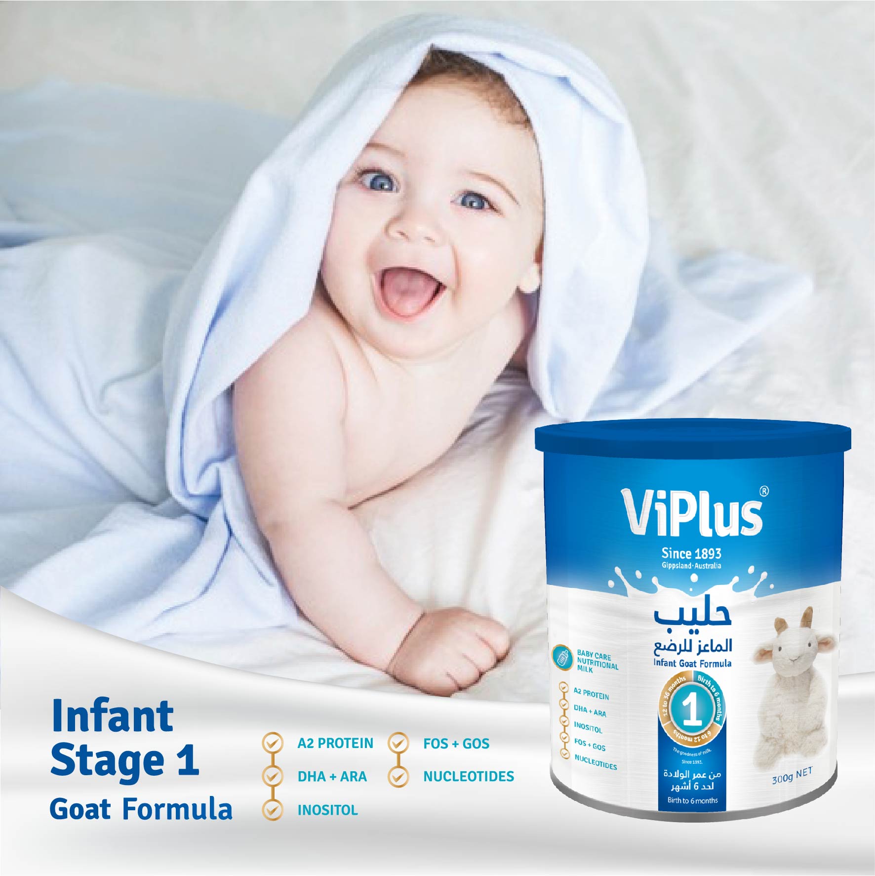 Goat formula insta-04